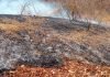 Combaten incendio forestal en las faldas de la Sierra Nevada de Santa Marta