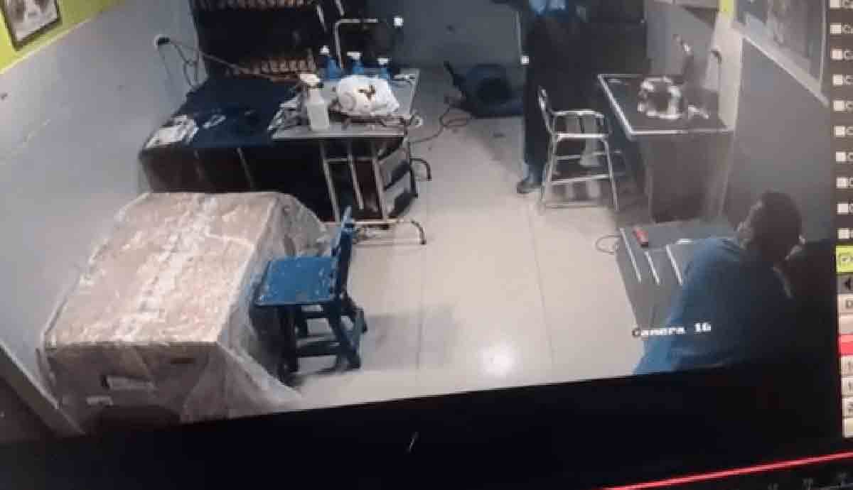 Autoridades investigan caso de maltrato animal en una veterinaria del norte de Barranquilla