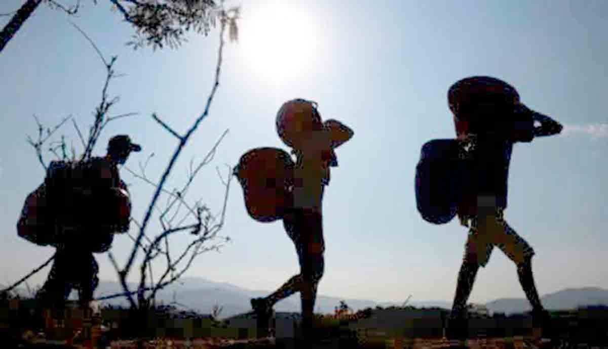 La ONU alerta el desplazamiento de más 300 campesinos en el Antioquia y Córdoba