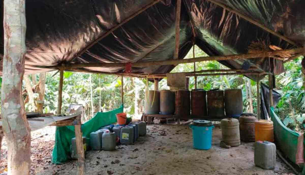 Desmantelan laboratorio para el procesamiento de coca