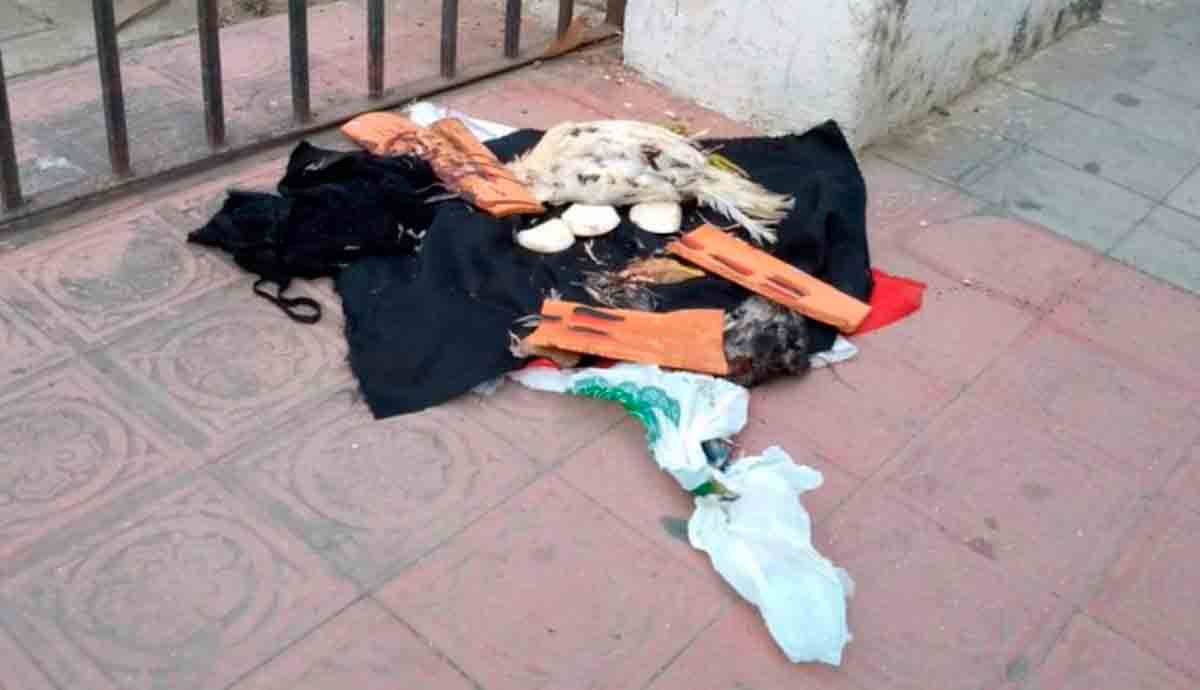 Denuncian ritos de brujería en cementerio de Manga en Cartagena