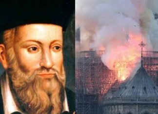 Incendio de la catedral de Notre Dame desempolvó milenaria profecía de Nostradamus