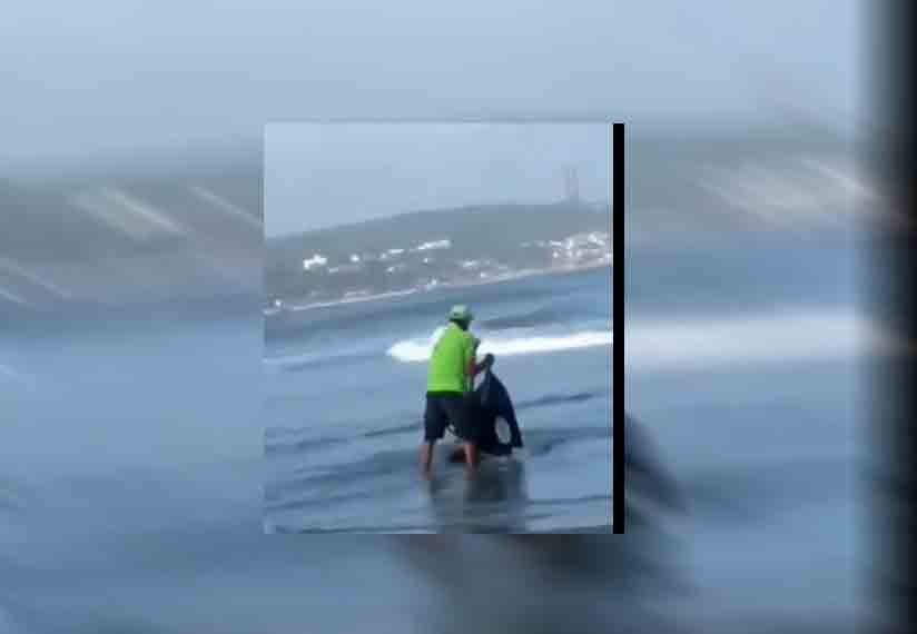 [Video] Rechazo en redes por carretillero que arroja basura al mar de Puerto Colombia