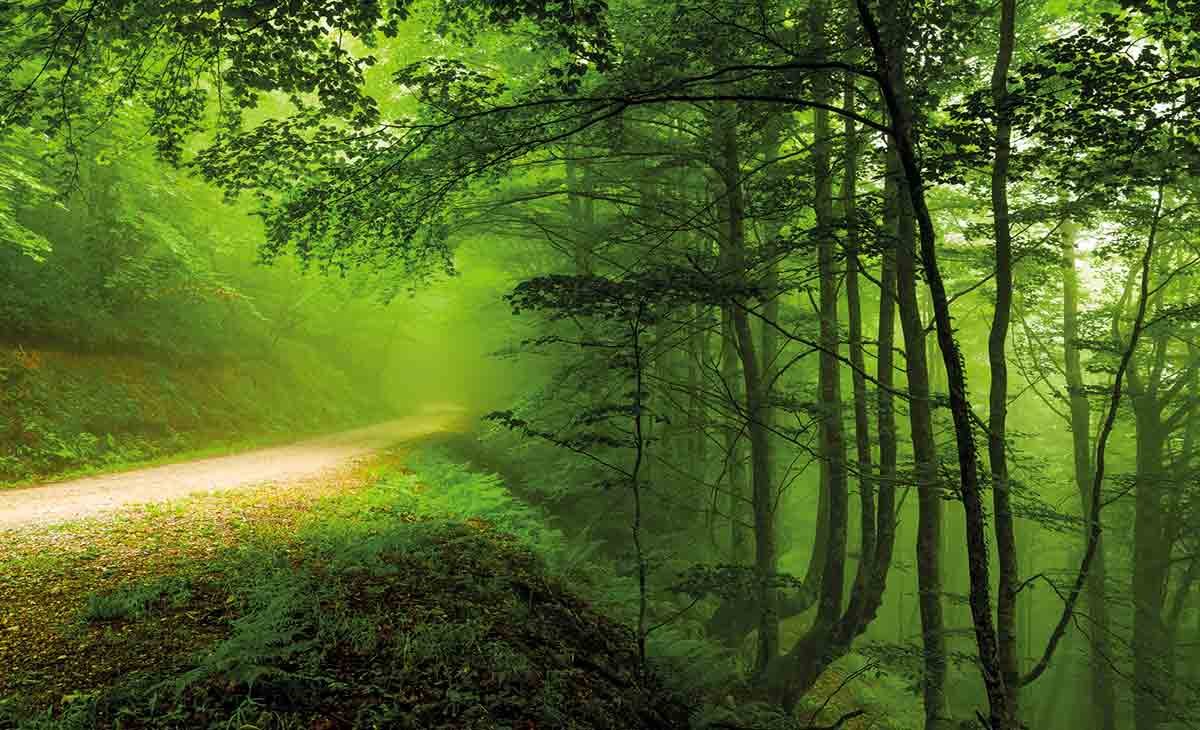 La política que definirá el rumbo de nuestras áreas protegidas en los próximos diez años