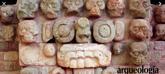 Los cráneos, revelan por que desaparecieron los Mayas