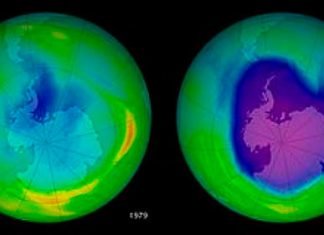 la capa de ozono registró su menor tamaño desde que fue descubierto