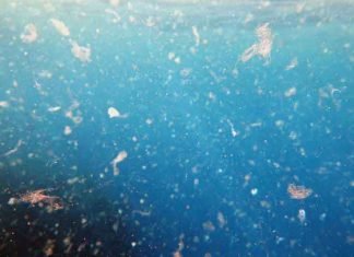 Que son los Microplásticos