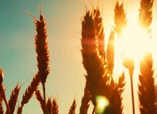 «El Pollo Isra» estrena ‘Dueño de mi todo’