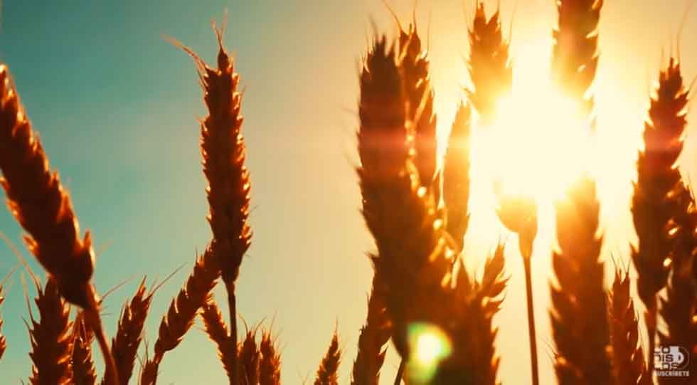 «El Pollo Isra» estrena ‘Dueño de mi todo’