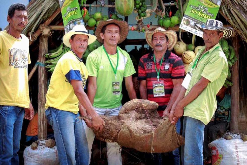 Festival del Ñame es un evento tradicional que se celebra en San Juan Nepomuceno