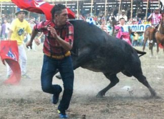 El municipio de Santo Tomás se prepara para su tradicional Fiesta Patronal