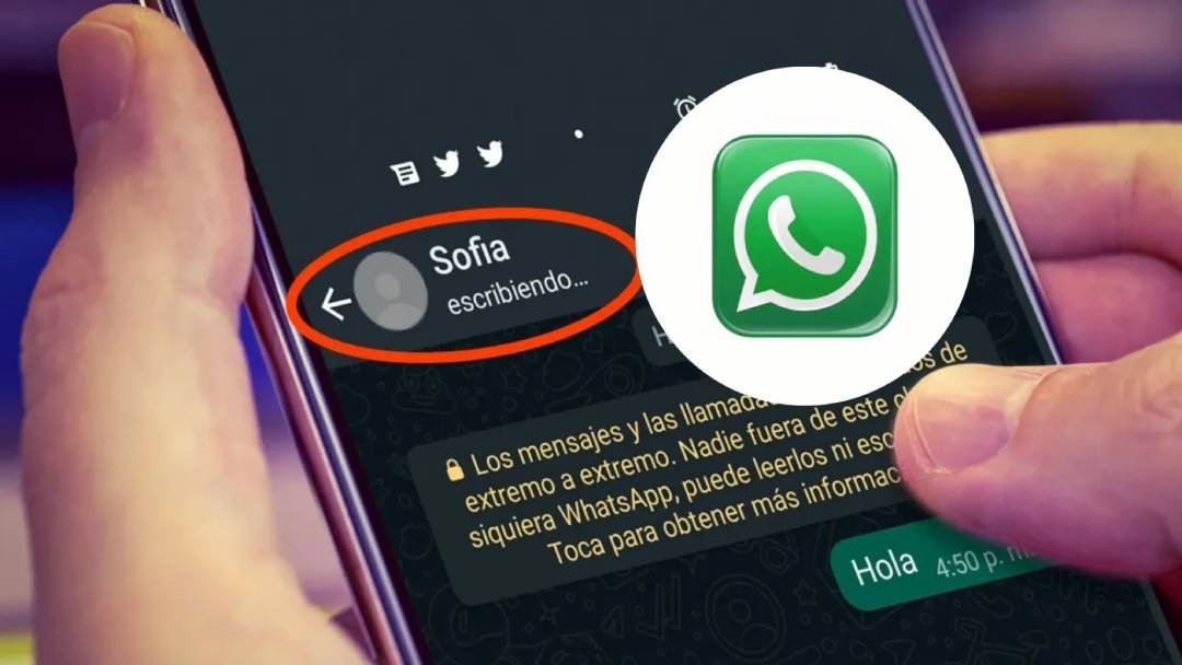 WhatsApp ha lanzado una nueva actualización que elimina las indicaciones de<strong> ‘escribiendo’ </strong>y <strong>‘grabando audio’</strong> 