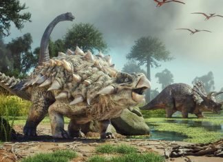investigación sobre el origen de los dinosaurios, apunta que surgieron millones de años antes de lo conocido