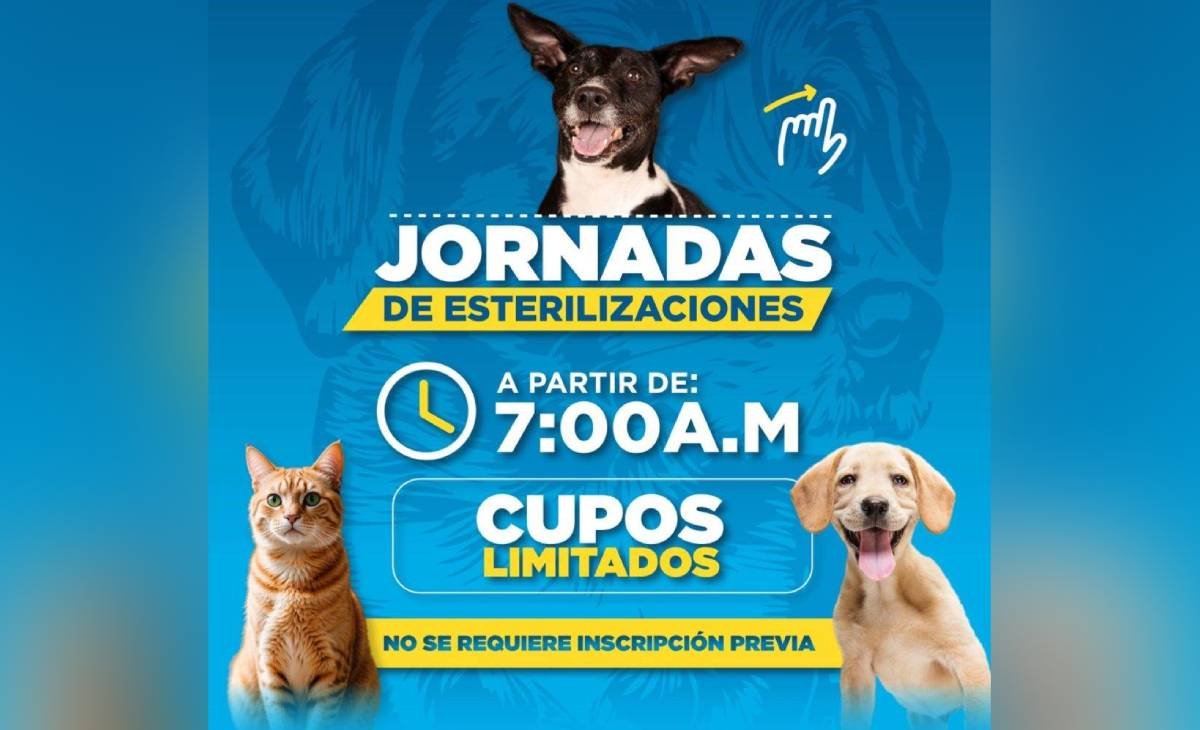 Jornada de esterilizaciones gratuitas para perros y gatos en Santa Marta
