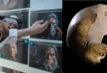 Un cráneo fósil, posiblemente de una niña que vivió hace unos 140.000 años en el actual Israel