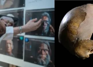 Un cráneo fósil, posiblemente de una niña que vivió hace unos 140.000 años en el actual Israel