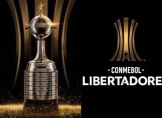 Copa Libertadores de América una final brasilera