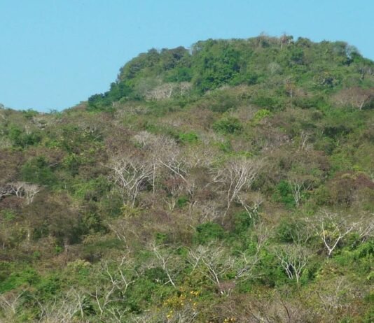 El Cerro de La Vieja en Piojó, Área Protegida de Colombia