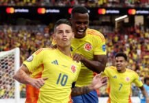 Le diría a Néstor Lorenzo que para llegar a una final de un Campeonato Mundial de Fútbol no es nada fácil y que hay que ganarle a todas las selecciones favoritas