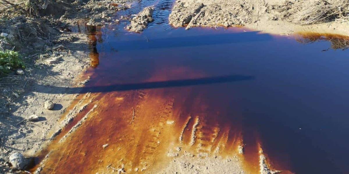 Alarma ambiental por vertimientos de aguas residuales en el río Manzanares